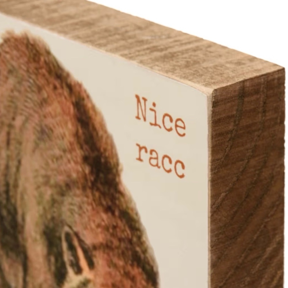 Primitives by Kathy “Nice Racc” Block Sign - Picture 3 of 4